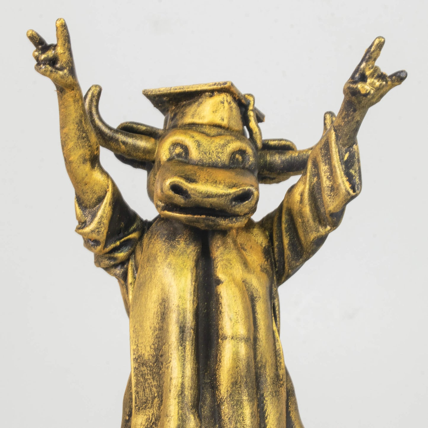 Custom Name & Year, Personalized Graduation Bevo Hook'em University of Texas Longhorn Mascot